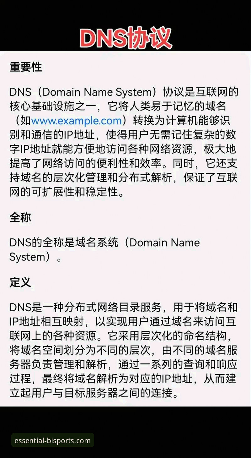 必一体育官方版本对比最新动态：v4.2.3实测解析，DNS劫持解决方案全公开